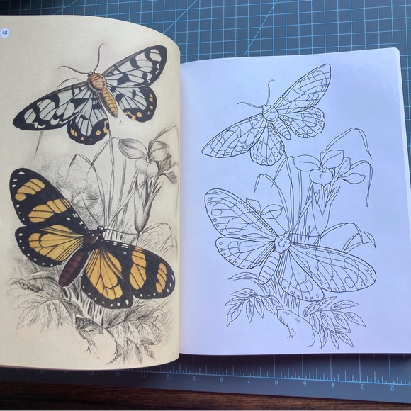 The Beauties of Nature Coloring Book: Flowers, Birds, Butterflies, & Wildlife - Picture 4 of 12